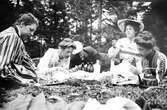 Picknick i lingonskogen, 1906
