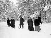 Grupp i skogen, 1906-12-30