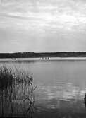 Båtfärd på sjön Lången, 1907