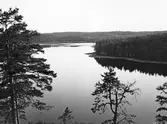 Vy över Ramsjön, 1908-06-30
