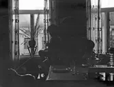 Utsikt från rummet, 1913