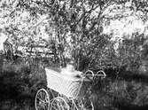 Baby i sin vagn, 1913
