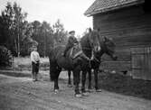 Pojke på häst, 1909