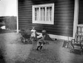 Barn leker höbärgning, juni 1910
