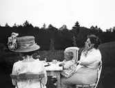 Dam med vacker hatt, 1911