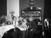 Lässtund i vardagsrummet, 1914