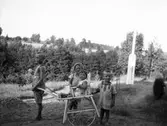 Lek med kärra, 1914