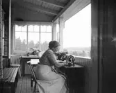 Vid symaskinen, 1914