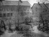 Bryggeribolagets trädgård, 1916