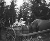 I hästkärran, 1915