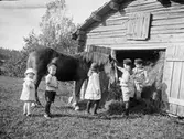 Barn och häst vid ladan, 1916