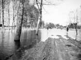 Vårflod i Ervalla, maj 1924