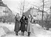 Väninnor i Karl Johans parken, mars 1931