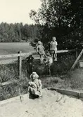 Leker i naturen, 1940-tal