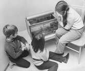 Barn tittar i ett akvarium, 1970-tal