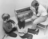 Barn tittar i ett akvarium, 1970-tal