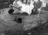 Kaffestund i trädgård med hund, 1965-1970