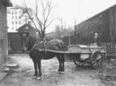 Renhållningsarbetare med häst, ca 1900