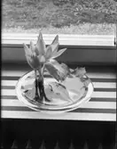 GLAS, BORSTAR, KLÄDHÄNGARE, JULBORD