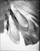 ITALIENSK HERRSKO FÖR ANNONS I ADAM