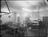 INTERIÖRER FRÅN RINGBARERNA VID NORRA STATIONSGATAN, S:T ERIKSGATAN, BIRGER JARLSGATAN, RIKSBANKEN