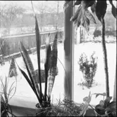 OMSLAGSBILD BLOMFÖNSTER, LANDSKAP MED SAGOFIGURER, JULBORD, LYSNINGSPRESENTER