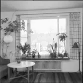 OMSLAGSBILD BLOMFÖNSTER, LANDSKAP MED SAGOFIGURER, JULBORD, LYSNINGSPRESENTER