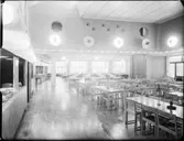 SESAMVÄGG I KTH:S KÅRHUS