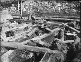 Arkeologisk utgrävning, Studentholmen, Uppsala 1907