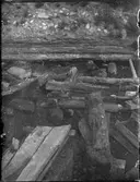 Arkeologisk utgrävning, Studentholmen, Uppsala 1907