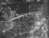 Arkeologisk utgrävning, Studentholmen, Uppsala 1907