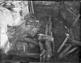 Arkeologisk utgrävning, Studentholmen, Uppsala 1907