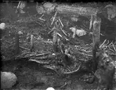 Arkeologisk utgrävning, Studentholmen, Uppsala 1907