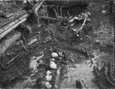 Arkeologisk utgrävning, Studentholmen, Uppsala 1907