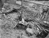 Arkeologisk utgrävning, Studentholmen, Uppsala 1907