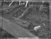 Arkeologisk utgrävning, Studentholmen, Uppsala 1907