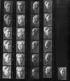 Fotostatkopia, Porträtt, Hjalmar Bergman.