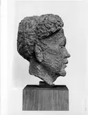 Skulptur, Hjalmar Bergman.