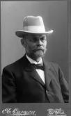 Man med hatt och skägg, 1900
