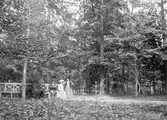 Familj i park, Peterhof, Sankt Petersburg, Ryssland, 1903