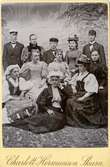 Grupp från Sveriges studerande ungdoms helnykterhetsförbund, 1896 ca