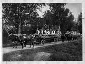 Festklädda på väg med oxkärror, 1920-tal