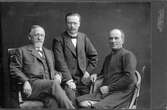 De tre blåbandisterna i första kammaren, 1912 ca