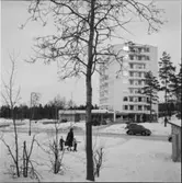 HÖGHUS HÖKARÄNGEN, HÖGHUS KV HARREN