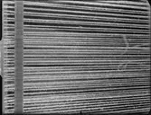 DETALJ PÅ VARP AVSEDD SOM UNDERLAG FÖR FÄRGBILD PÅ OMSLAG