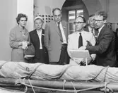 Vid isbåten Simpan på nedre botten. Fr.v. fröken och fru de Bruyn,
dotter resp. maka till dr F.F. de Bruyn, Nederlands Spoorweg Museum i
Utrecht, doktor H.O. Wagner, Übersee-Museum i Bremen, Mr C.J.Scott,
Curator, City Museum i Coventry, Mr W. O´Dea, Curator, Science Museum
i London samt amanuens Skans T. Nilsson.