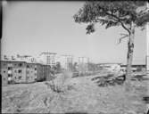 HÖGHUS ÅRSTA, KV METERN
ENTRÉDETALJ, EXTERIÖR