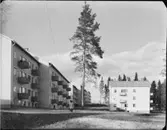 DAMMAR I FREDRIKSBERG, HYRESHUS I GRÄNGESBERG