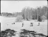 MALMLETARE I FÄLT II