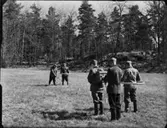 MALMLETARE I FÄLT II